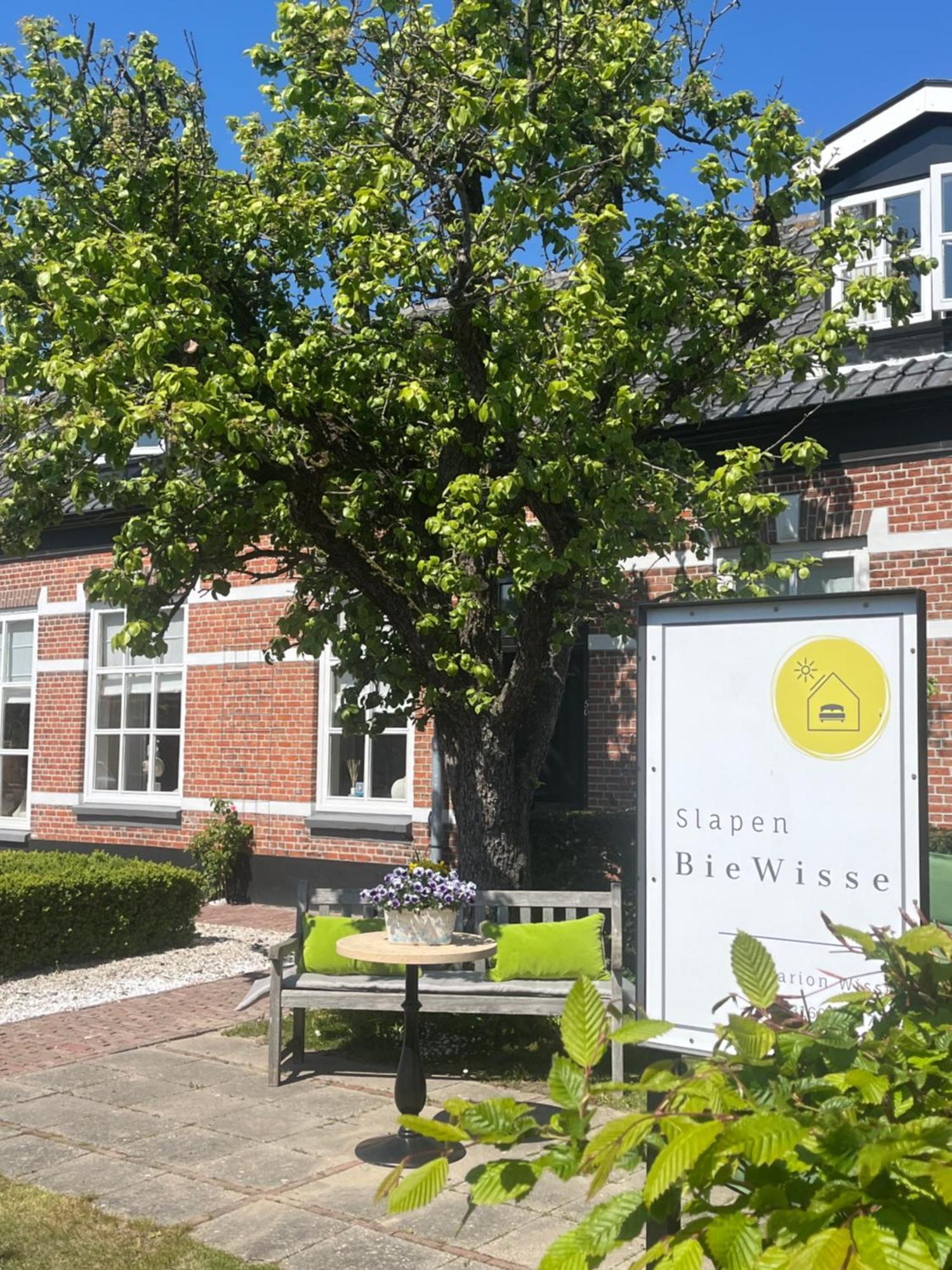 Apartamento Slapen Bie Wisse Kamperland Exterior foto